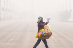 Dense Fog In Parts Of Delhi As Temperature Drops To 8.8°C, Further Dip Likely By Friday