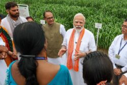 Modi Govt’s New Year Gift To Farmers: Higher Crop Insurance, Fertilizer Subsidy