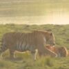 Rare Sighting Of Two Royal Bengal Tigers At Kaziranga National Park Thrills Tourists | Video