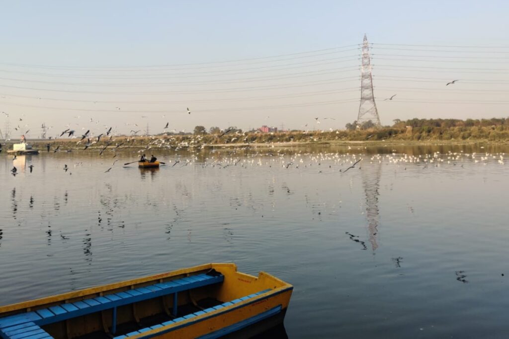 'Yamuna Will Be Clean In A Month If...': What Environmentalists Say On Delhi's Water Politics