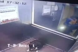Woman Assaults Boy Over Dog's Entry Inside Society Lift In Greater Noida West, Detained