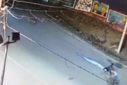 Leopard Collides With Bike-Borne Milkman While Crossing Road In Udaipur, Triggers Panic | Video