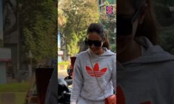 Punjabi Kudi-Jasmine Bhasin Papped In A Casual Avatar With Sweatpants And Shirt | News18 | N18S