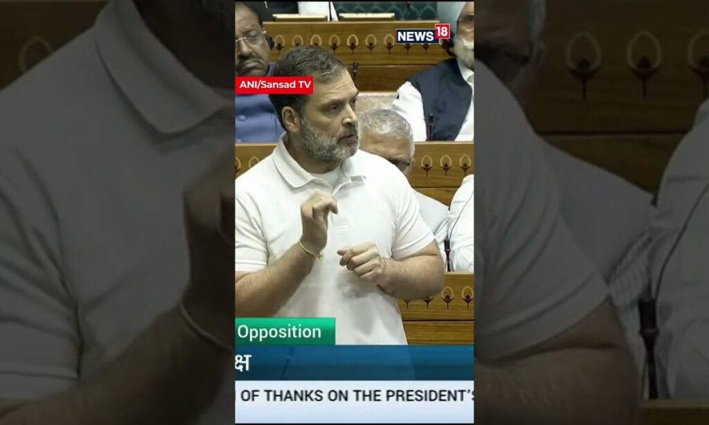 Rahul Gandhi In Budget Session 2025: "PM's 'Make In India Was A Good Idea But....." | Budget | N18S