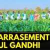 Adilabad Farmers Send Selfie Videos To Rahul Gandhi Demanding Enhanced Rythu Bharosa | News18