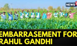 Adilabad Farmers Send Selfie Videos To Rahul Gandhi Demanding Enhanced Rythu Bharosa | News18