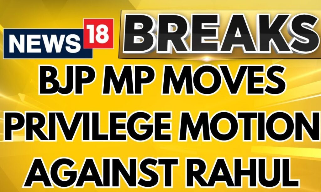 BJP MP Moves Privilege Motion Against Rahul Gandhi Over Maharashtra Voter Fraud Remark | News18