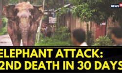 Wayanad Elephant Attack: 2nd Death in a Month | Human-Wildlife Conflict In Kerala | Priyanka Gandhi