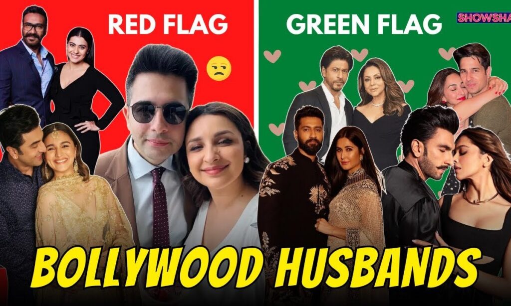 Ranbir Kapoor, SRK, Ajay Devgn, Raghav Chadha & Vicky Jain Are Walking, Talking GREEN/RED Flags