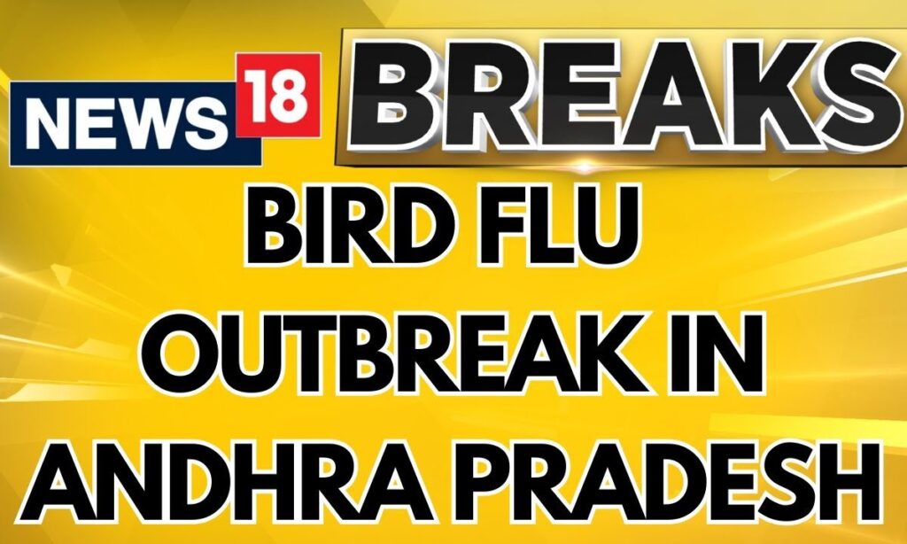 Bird Flu Deaths Confirmed In East And West Godavari Districts, Andhra Pradesh | Andhra Pradesh News