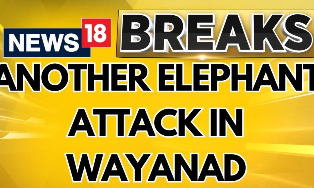 Another Man Killed In Wild Elephant Attack In Wayanad, Second In 48 Hours | Elephant Attack | News18