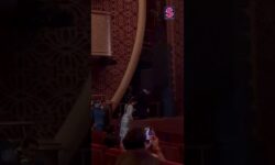 Vicky Kaushal Helps Rashmika Mandanna Get On Stage #chhaava