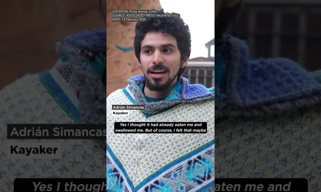 'I Thought It Had Eaten Me': Humpback Whale Briefly Swallows Kayaker In Chile