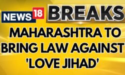 Maharashtra To Bring Law Against 'Love Jihad', Forms 7-Member Panel To Assess Legislation | News18