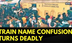 Confusion Over Train Names and Delays Lead To Chaos: Delhi Police | Delhi Railway Station Stampede