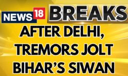 After Delhi-NCR, Earthquake Tremors Felt In Bihar's Siwan | Bihar Earthquake | English News