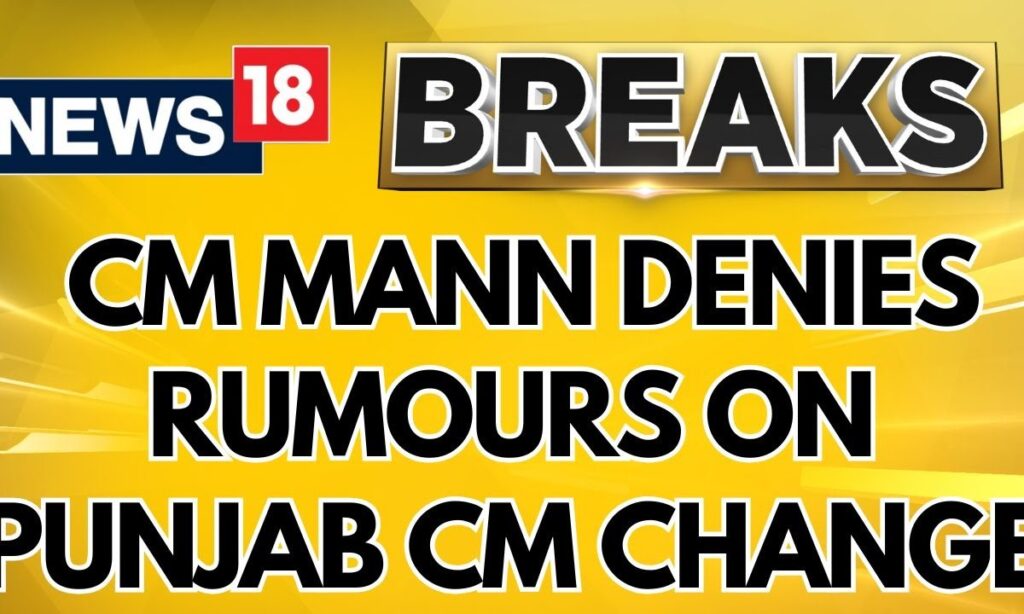 Punjab CM Bhagwant Mann Denies Rumours Of Being Replaced By AAP Chief | AAP