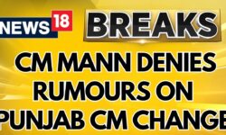 Punjab CM Bhagwant Mann Denies Rumours Of Being Replaced By AAP Chief | AAP