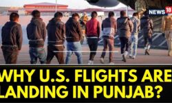 70% People Deported From US Are From Punjab Or Haryana: Govt sources | US Deportation | News18