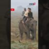 Kaziranga Connect: EAM S Jaishankar's Elephant Safari | N18S | #trending