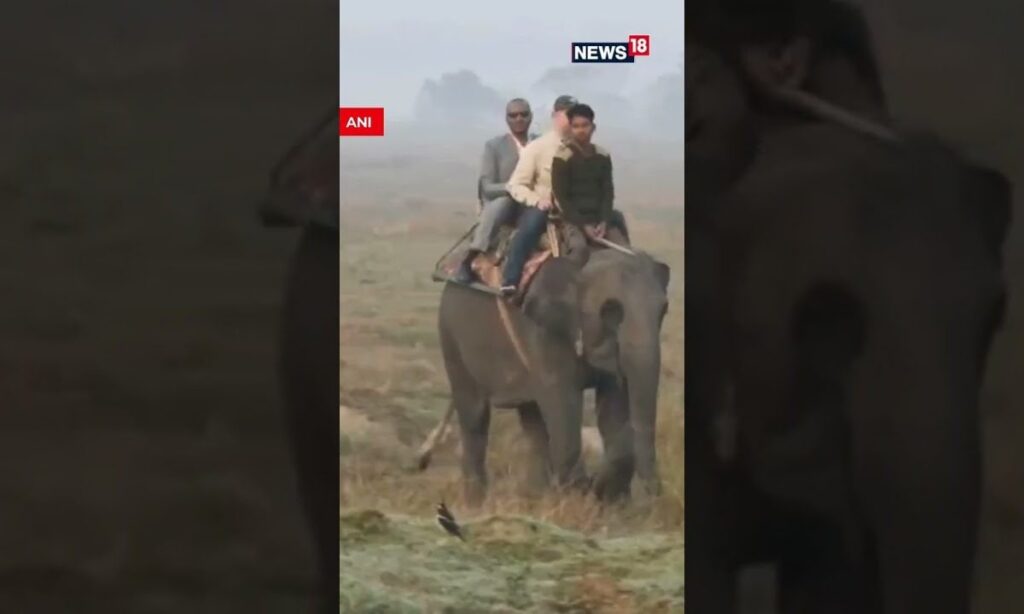 Kaziranga Connect: EAM S Jaishankar's Elephant Safari | N18S | #trending