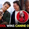 'Deadpool & Wolverine' Star Peggy AKA Ryan Reynold's Dogpool Wins Big At Canine Oscars | WATCH; N18G