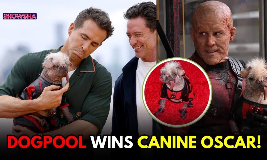 'Deadpool & Wolverine' Star Peggy AKA Ryan Reynold's Dogpool Wins Big At Canine Oscars | WATCH; N18G