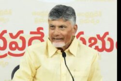 Andhra Pradesh Land Ownership: Check Out New Rules, Last Date For Regularisation Here