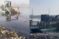 Sewage Flow To Yamuna In Delhi To Be Stopped In 2 Years, River To Be Clean By Dec 2027: Official
