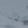 Video Captures Moment Avalanche Hits Gulmarg Amid Heavy Snowfall