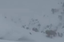 Video Captures Moment Avalanche Hits Gulmarg Amid Heavy Snowfall