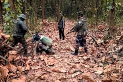 Over 100 Weapons Surrendered In Four Manipur Districts