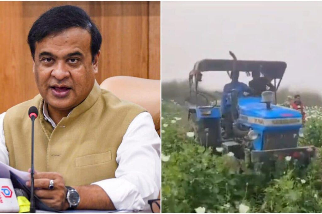 'Sorry To Spoil Udta Assam Party': CM Himanta To Drug Dealers As Poppy Farms In State Destroyed