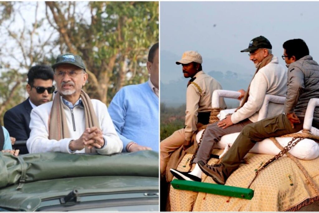 EAM Jaishankar, Envoys From 61 Nations Take Jeep, Elephant Safari At Kaziranga National Park | Watch