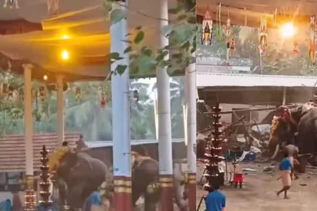 Police Probe If Elephant Panic Triggered By Fireworks Led To Attack At Kerala Temple