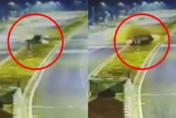 Two Thrown Out As Speeding Car Hits Divider, Flips Multiple Times On Highway | Video