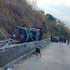 18 Killed, 31 Injured As Bus Overturns In Eastern Thailand