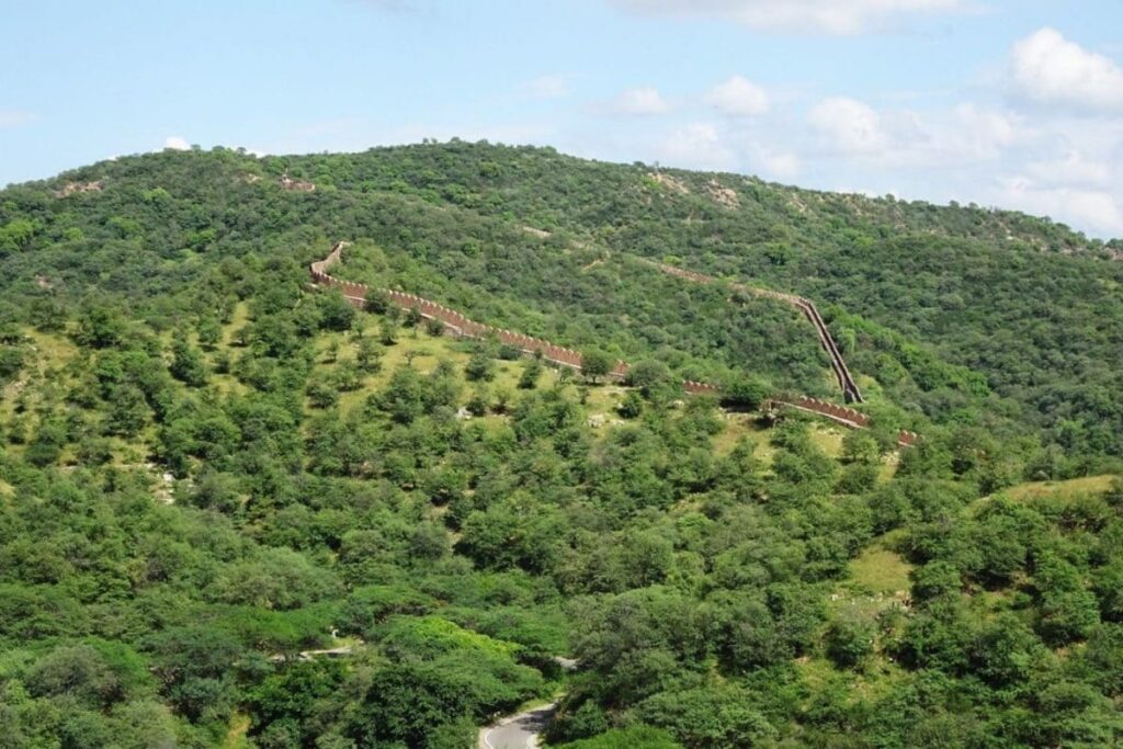 ‘Save The Aravallis’: Retired Forest Officers Call For Halt To ‘Destructive’ Zoo Safari Project