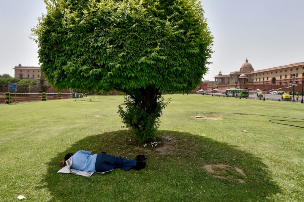 Delhi Weather: Record February Heat Signals How Next 3-4 Months Will Be