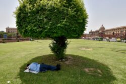 Delhi Weather: Record February Heat Signals How Next 3-4 Months Will Be