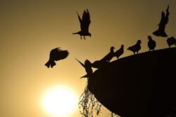 Temperature In Delhi May Soar To 30 Degrees Celsius In Feb, Air Quality Becomes 'Poor'