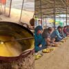 'God's Own Kitchen': Behind The Scenes Of Bhandaras That Make Mahakumbh A 'Culinary Pilgrimage'