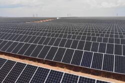 India Hits 100 GW Solar Milestone, Moves Closer To 2030 Clean Energy Goals