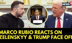 Trump Cabinet Marco Rubio Reacts On Zelenskyy And Trump Face Off At The White House | News18