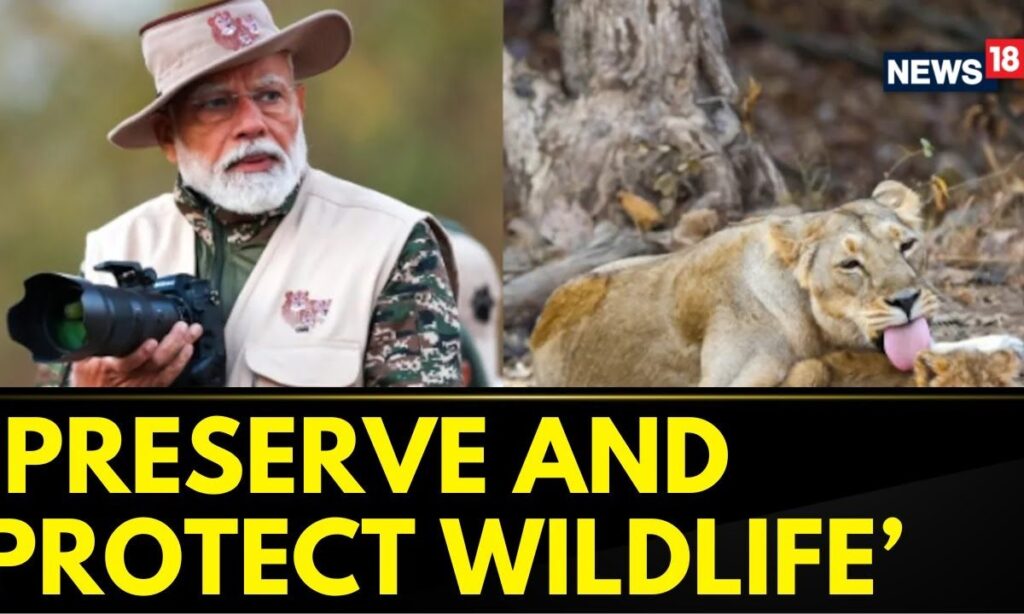 PM Narendra Modi Goes On Lion Safari At Gir Wildlife Sanctuary On World Wildlife Day | News18