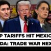 Mexico, Canada, China Retaliate After Trump Tariffs Take Effect, Will US Consumers Be Hurt The Most?