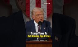 U.S. President Trump Trashes Former President Biden For Soaring Egg Prices | N18S | #shorts