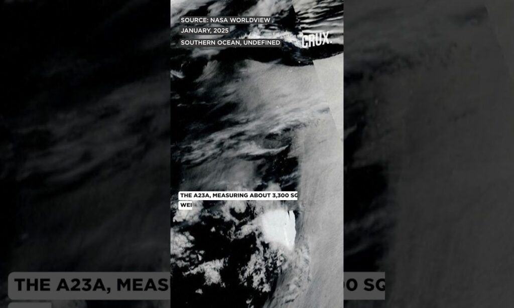 World's Largest Iceberg, A23a Runs Aground Off Remote Island