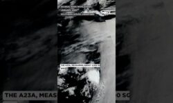 World's Largest Iceberg, A23a Runs Aground Off Remote Island