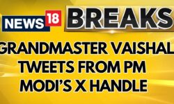 'Vanakkam': Grandmaster Vaishali Rameshbabu  Tweets From His X Handle | English News | News18